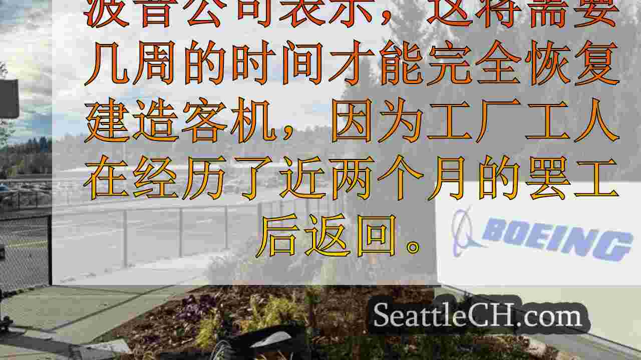 西雅图新闻 SeattleCH