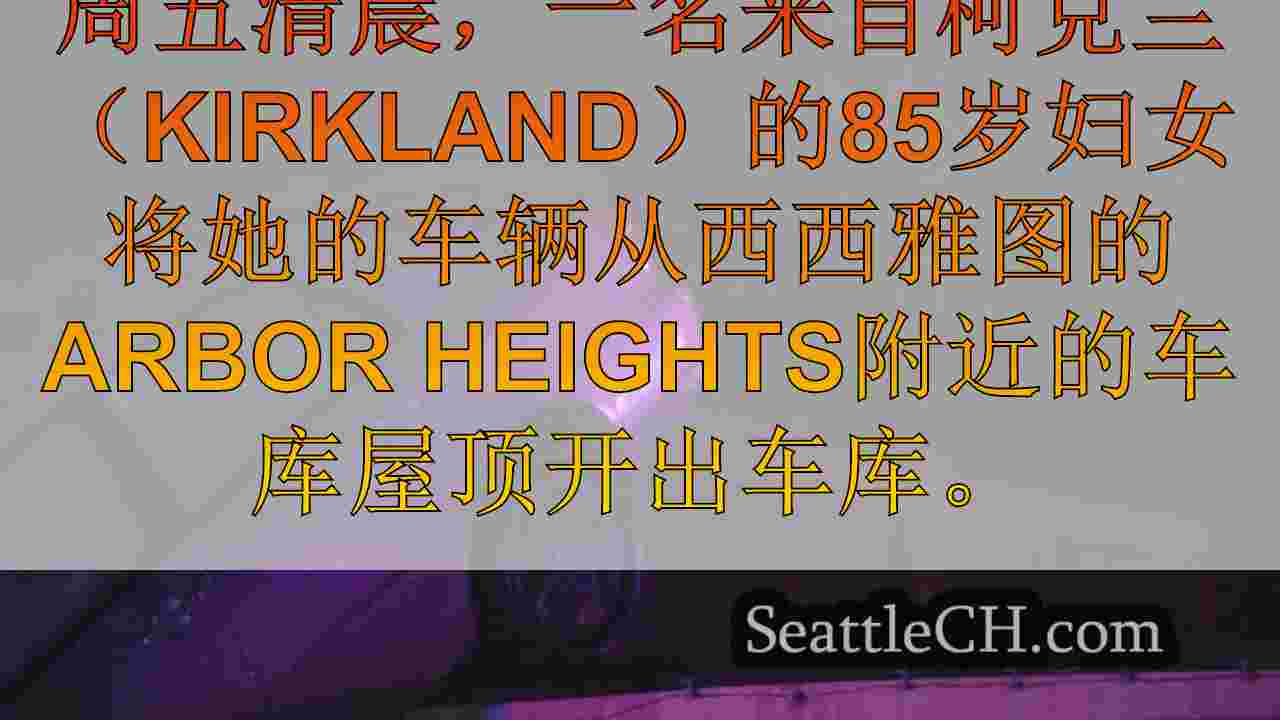 西雅图新闻 SeattleCH