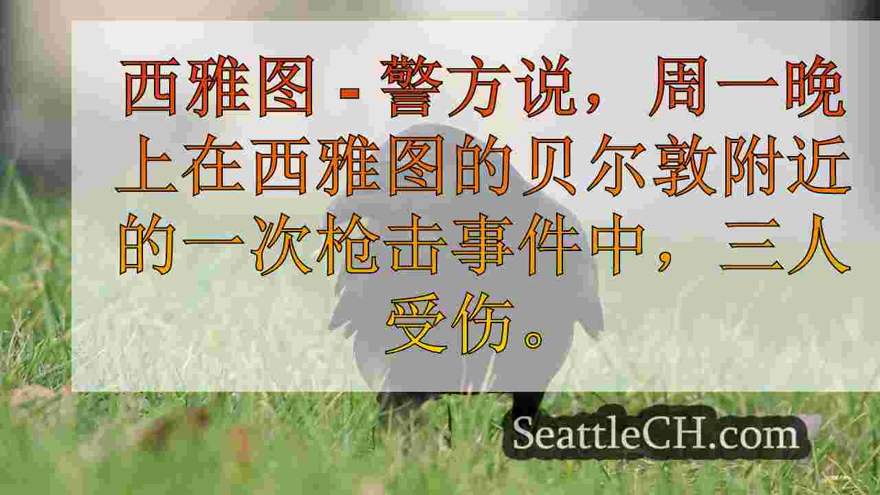 西雅图新闻 SeattleCH