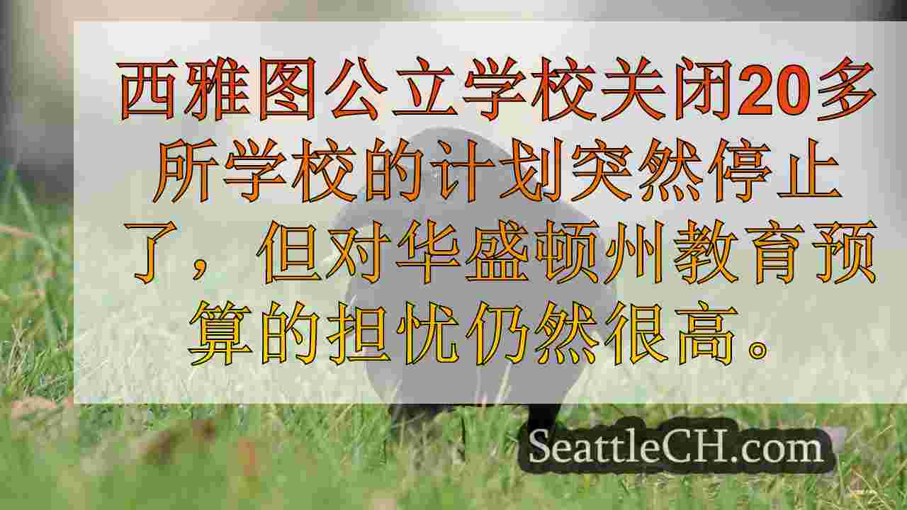 西雅图新闻 SeattleCH