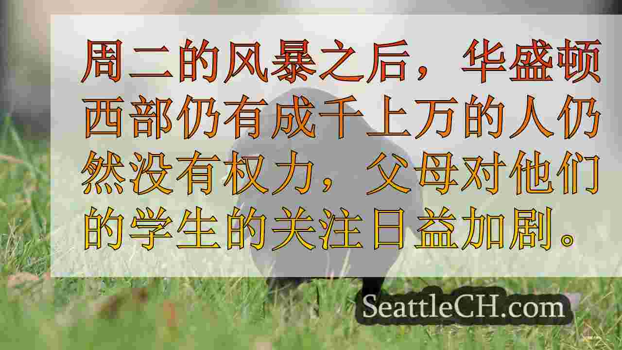 西雅图新闻 SeattleCH