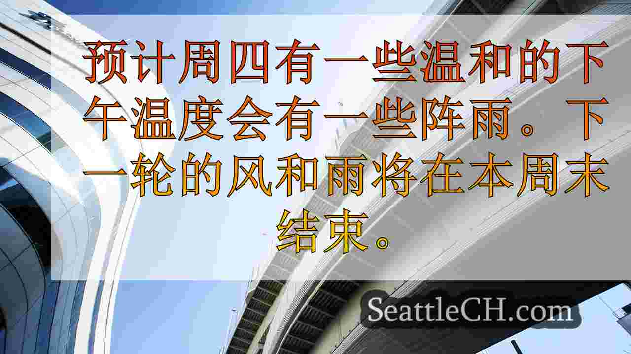 西雅图新闻 SeattleCH