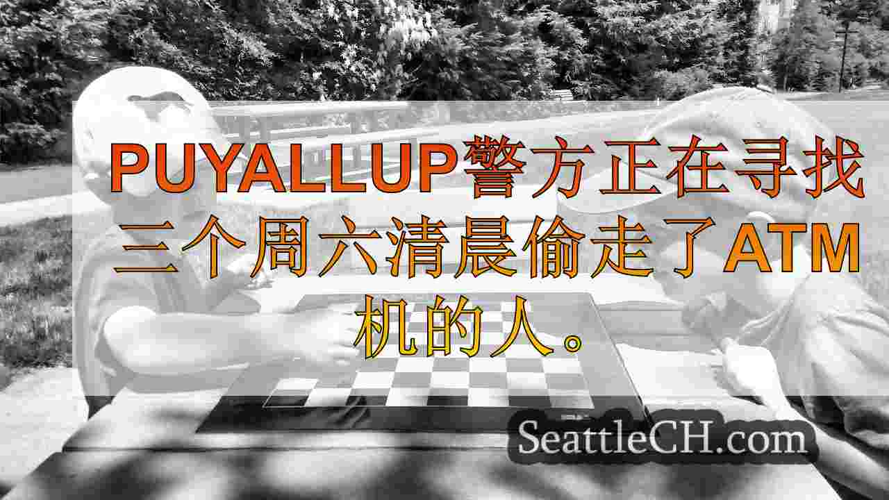 西雅图新闻 SeattleCH
