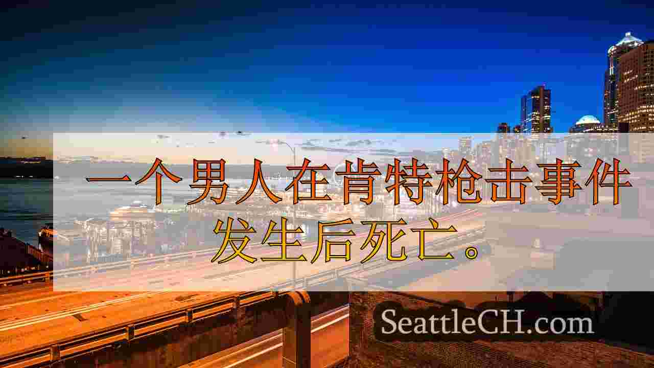 肯特警察调查致命射击