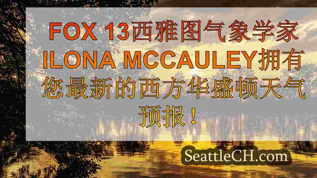 西雅图新闻 SeattleCH