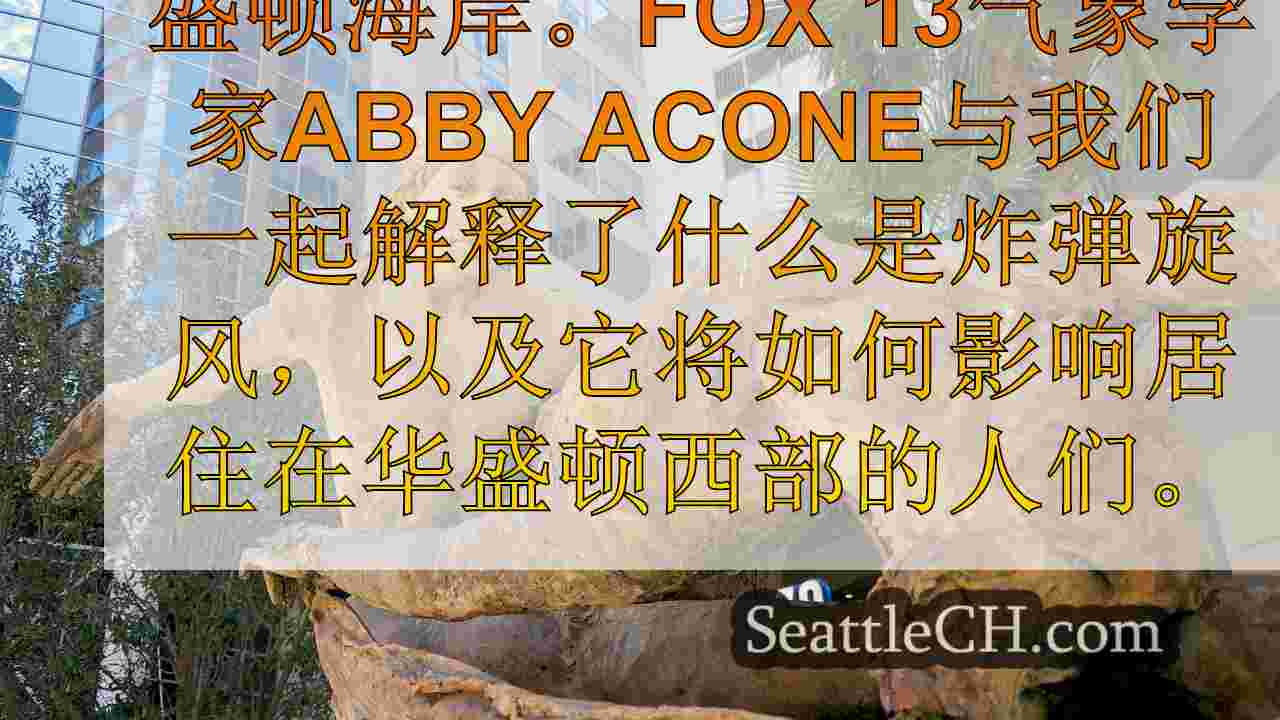 西雅图新闻 SeattleCH