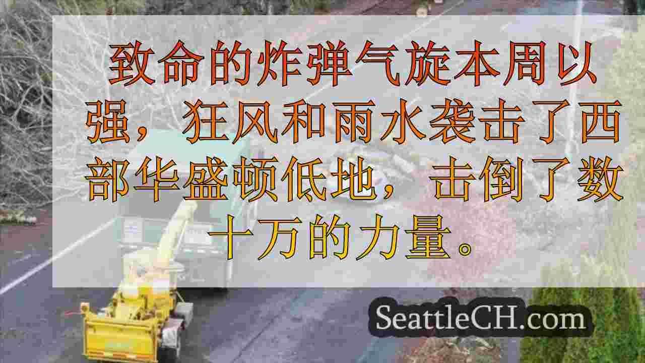 西雅图新闻 SeattleCH
