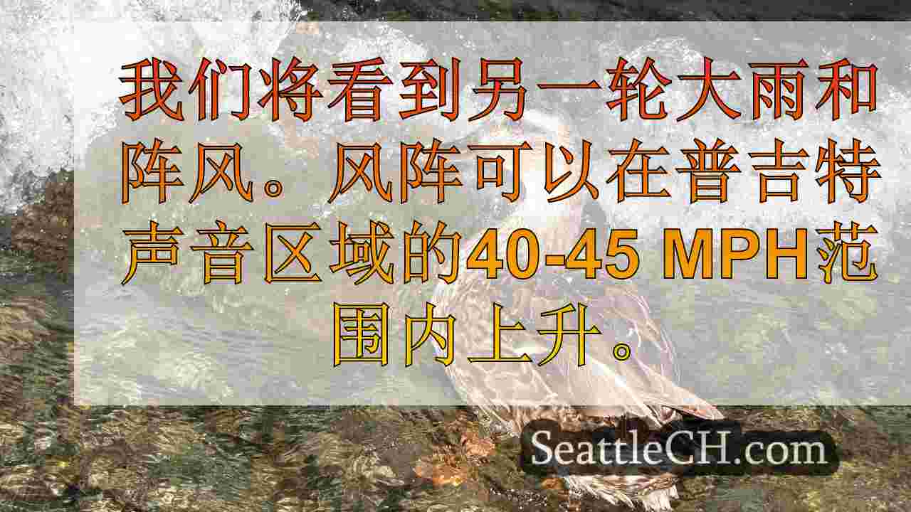 强风将停电到西雅图，周围地区