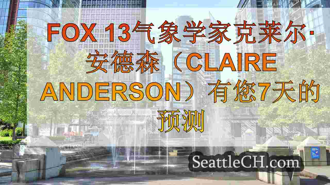 西雅图新闻 SeattleCH