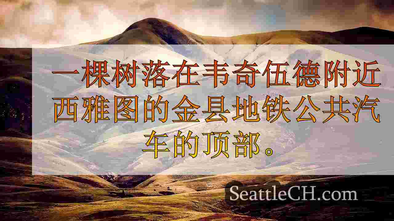 西雅图新闻 SeattleCH
