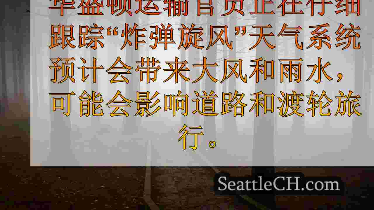西雅图新闻 SeattleCH