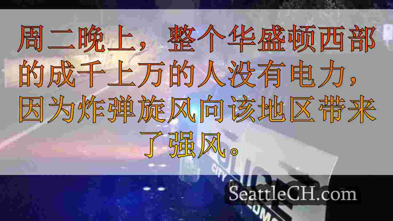 西雅图新闻 SeattleCH