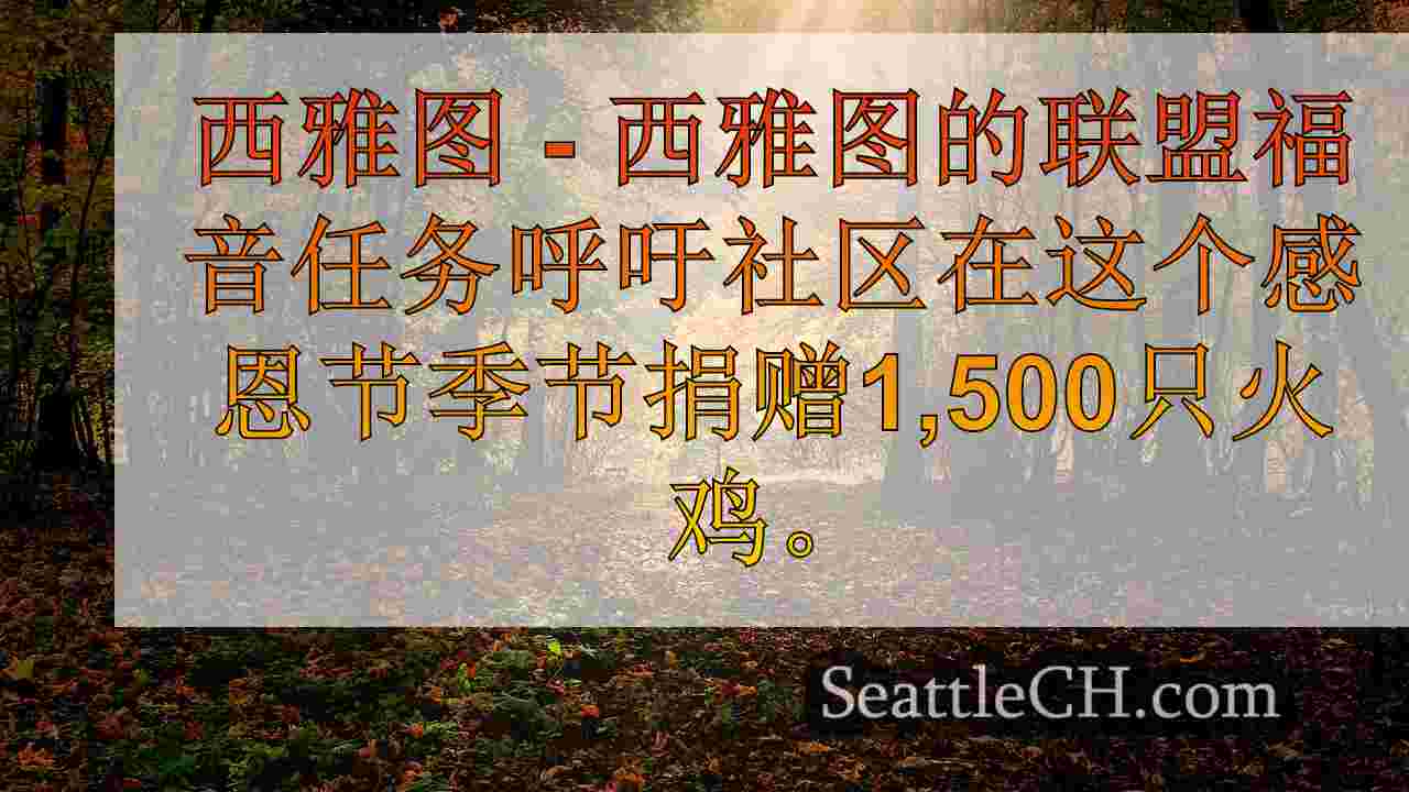 西雅图新闻 SeattleCH