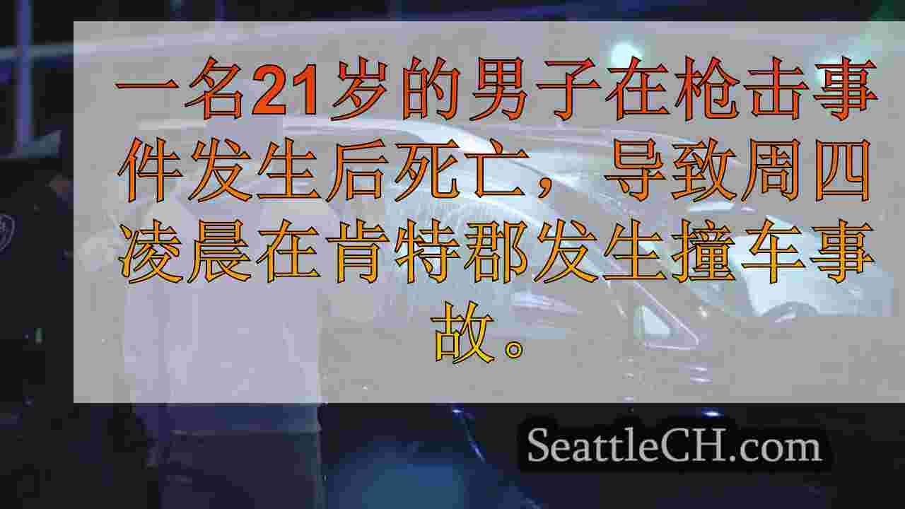 射击后死亡导致肯特坠毁