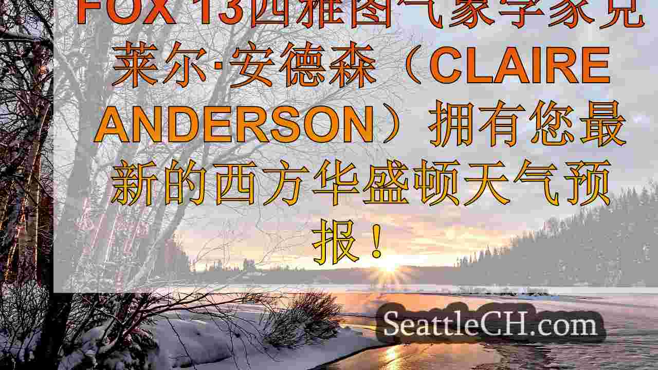西雅图新闻 SeattleCH