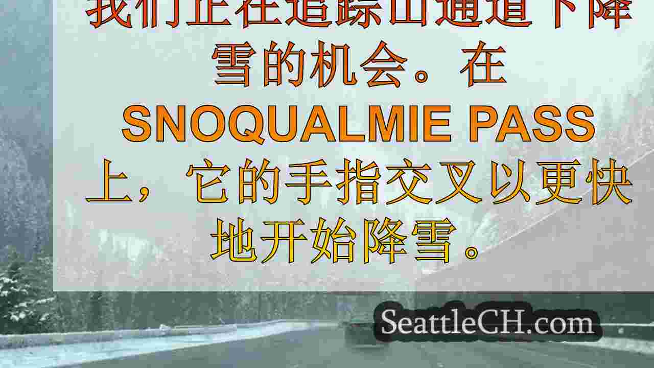 西雅图新闻 SeattleCH