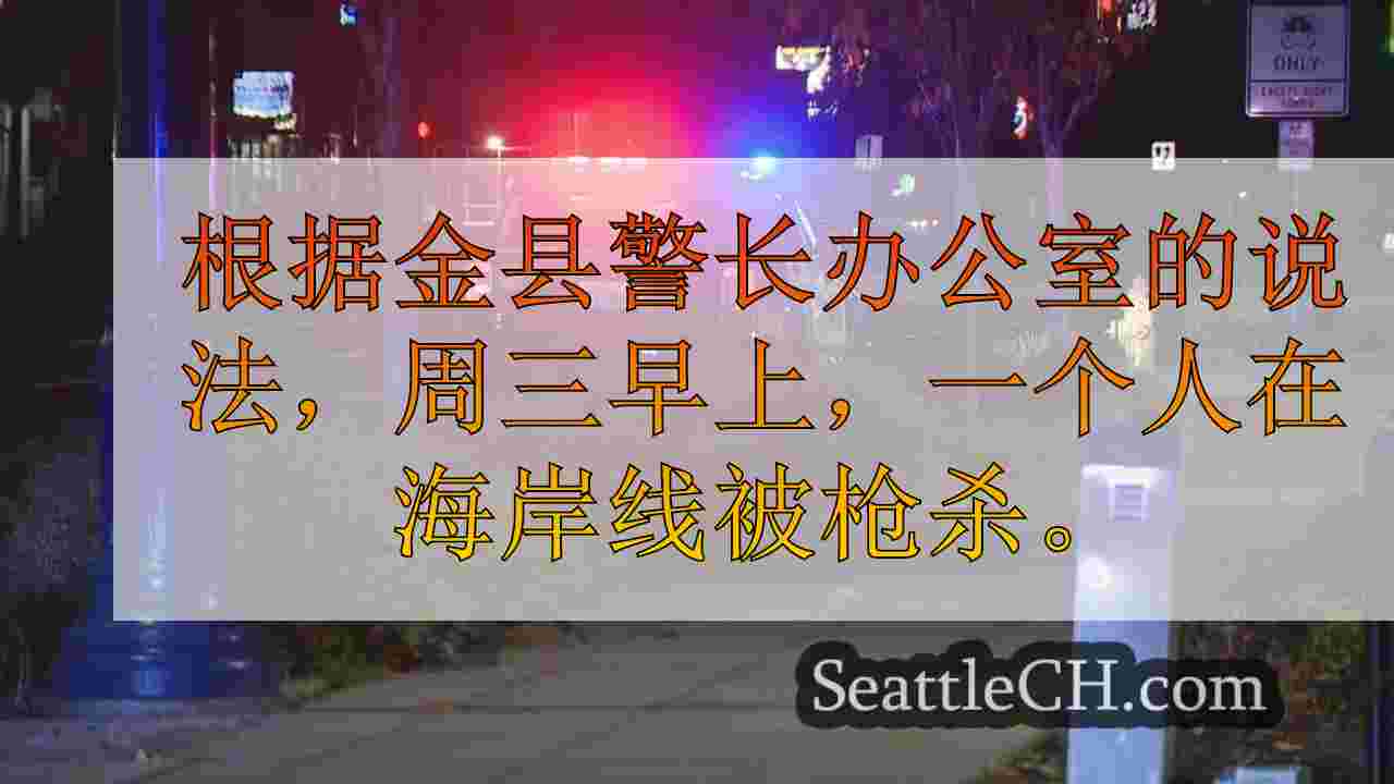 在清晨的海岸线枪击事件中丧生，没有嫌疑人被拘留