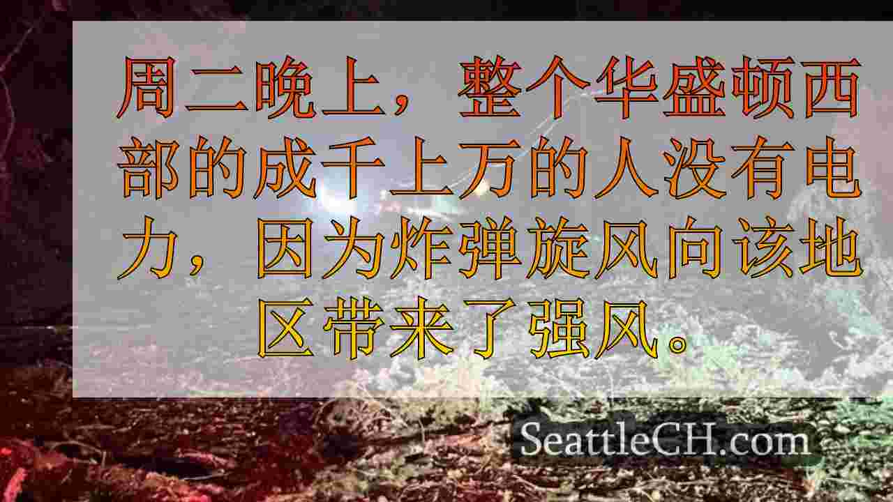 西雅图新闻 SeattleCH