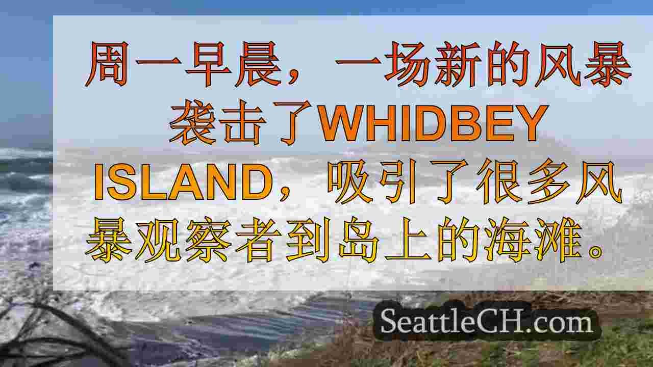 西雅图新闻 SeattleCH