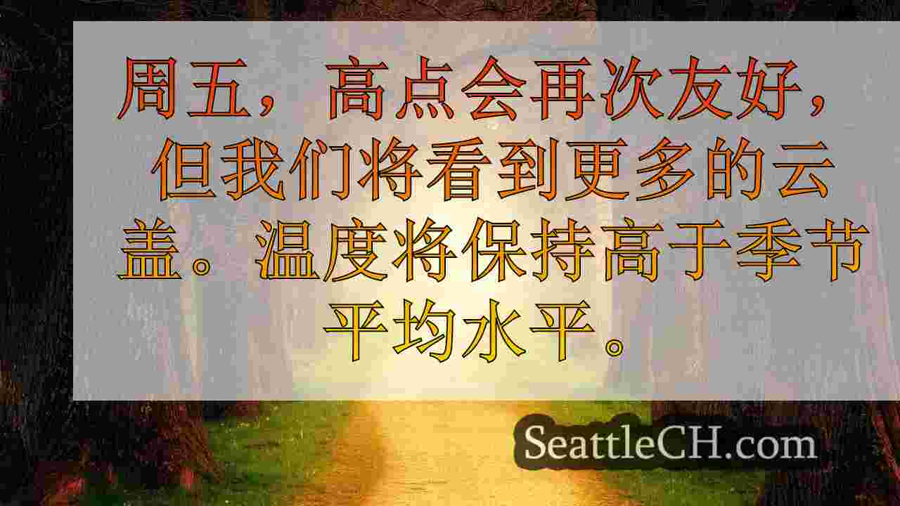 西雅图新闻 SeattleCH