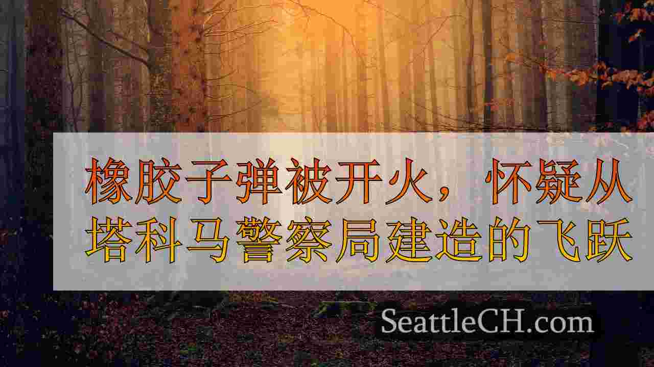 西雅图新闻 SeattleCH