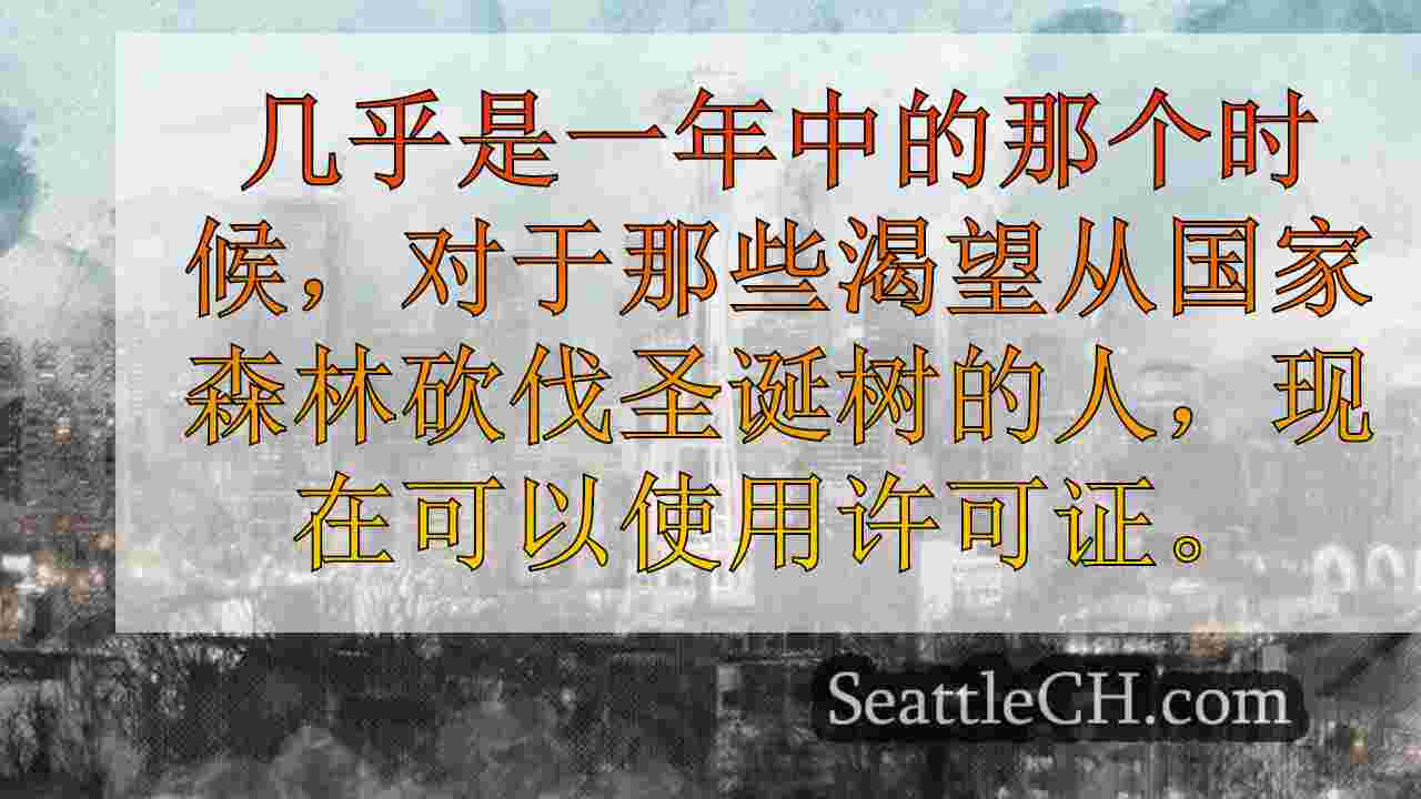 西雅图新闻 SeattleCH