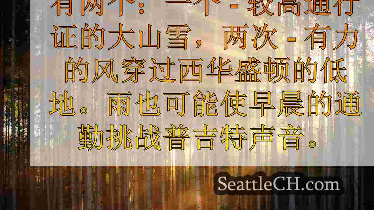 西雅图新闻 SeattleCH