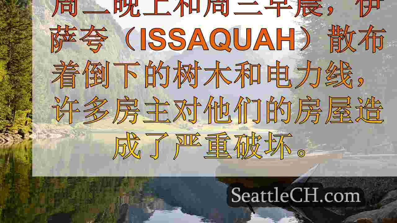 西雅图新闻 SeattleCH