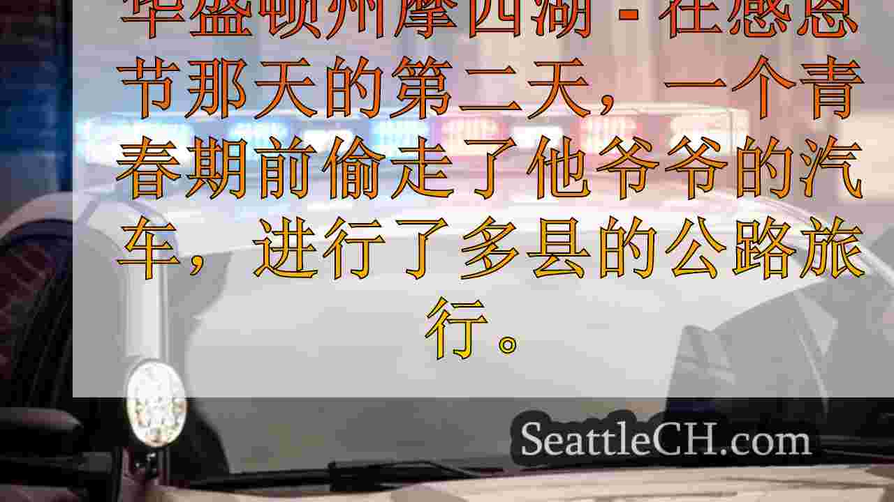 西澳代表们从爷爷偷走了逃离12岁男孩的逃离12岁男孩