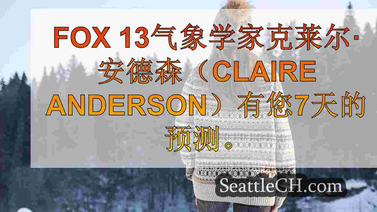 西雅图新闻 SeattleCH