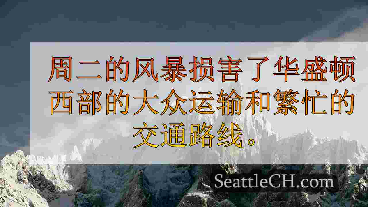 西雅图新闻 SeattleCH