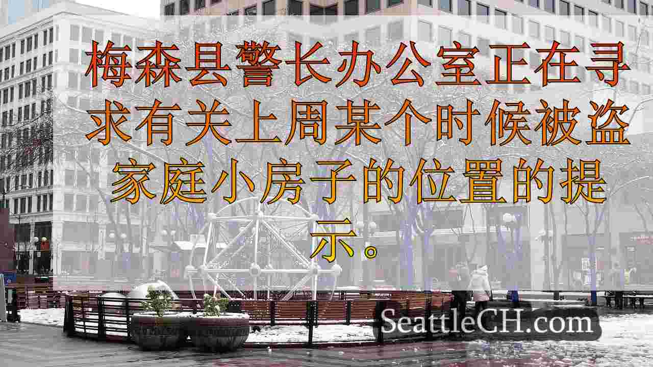 西雅图新闻 SeattleCH