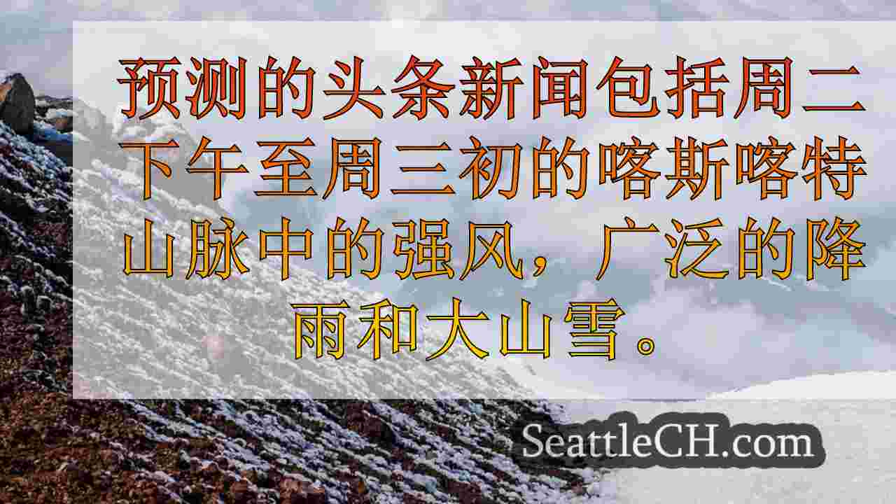 西雅图新闻 SeattleCH