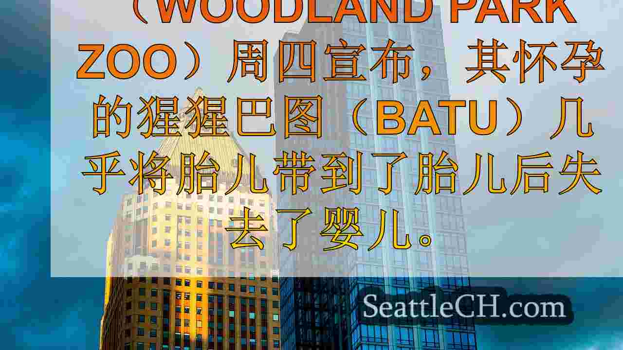 西雅图新闻 SeattleCH