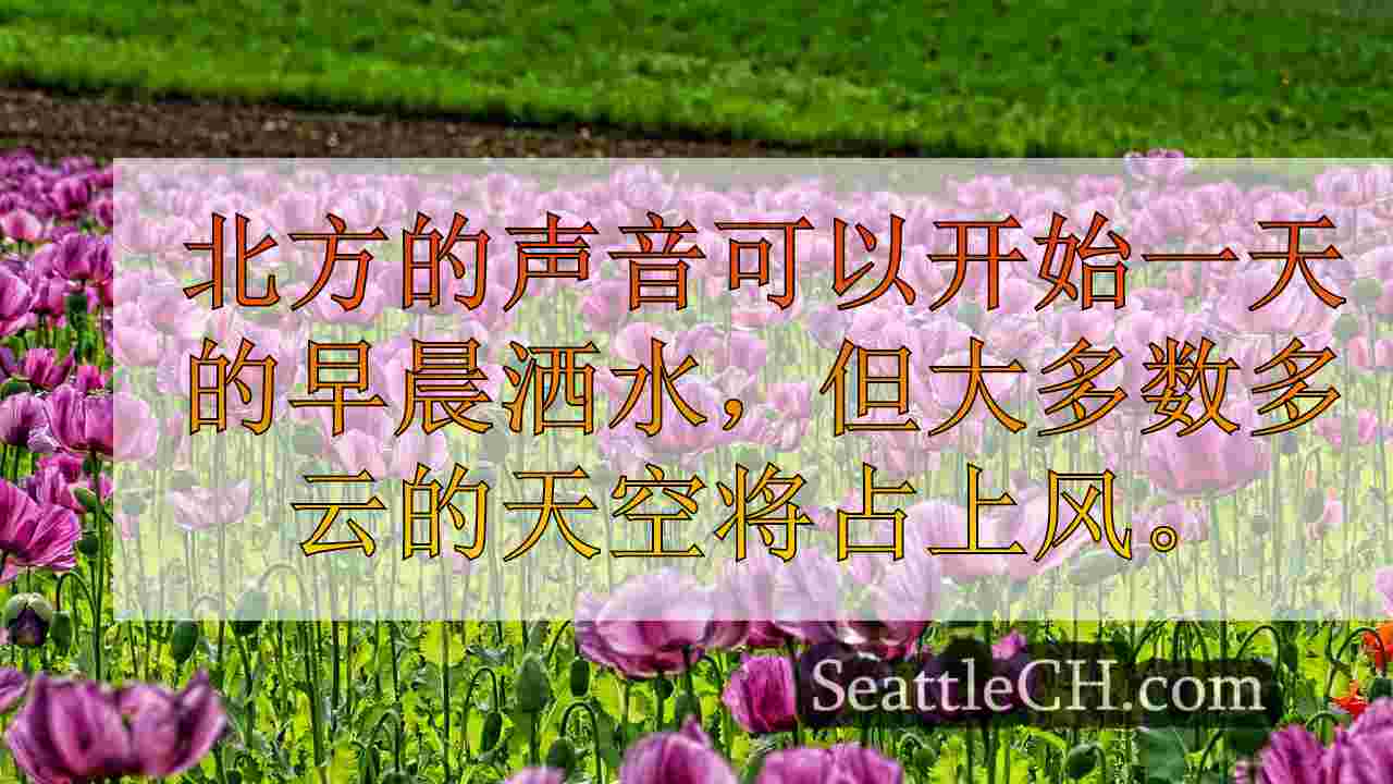 西雅图新闻 SeattleCH