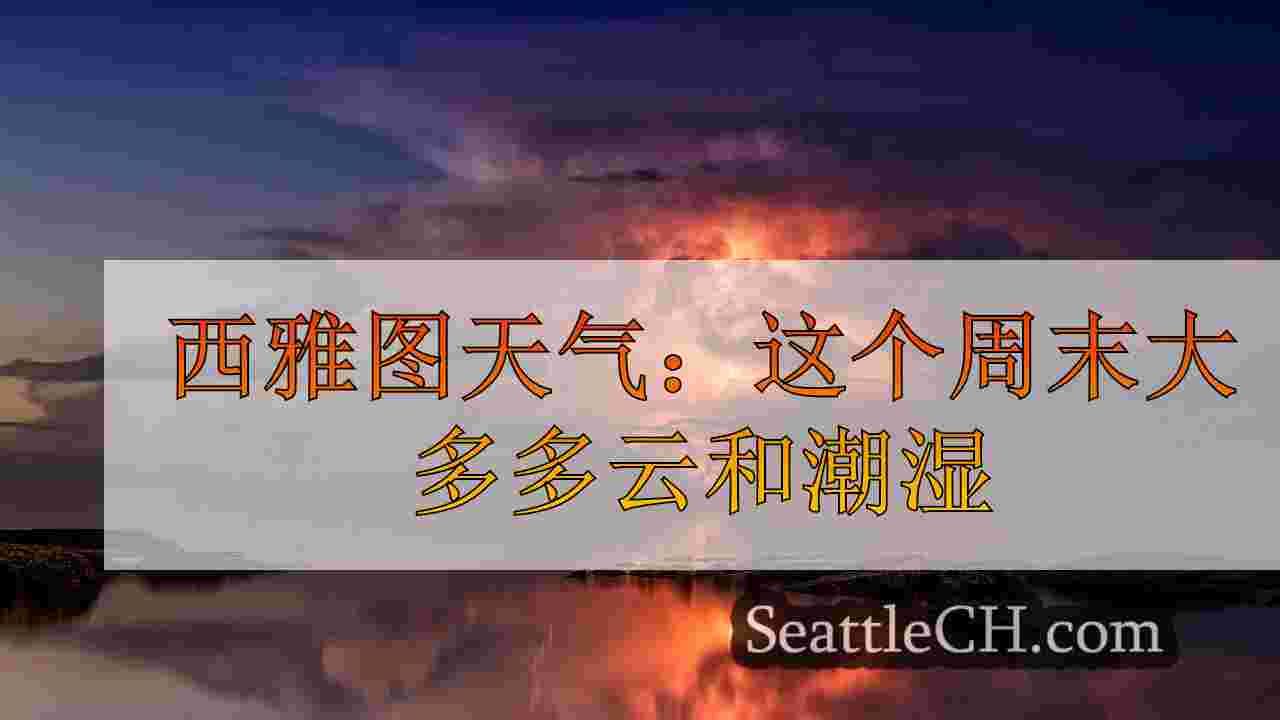 西雅图新闻 SeattleCH
