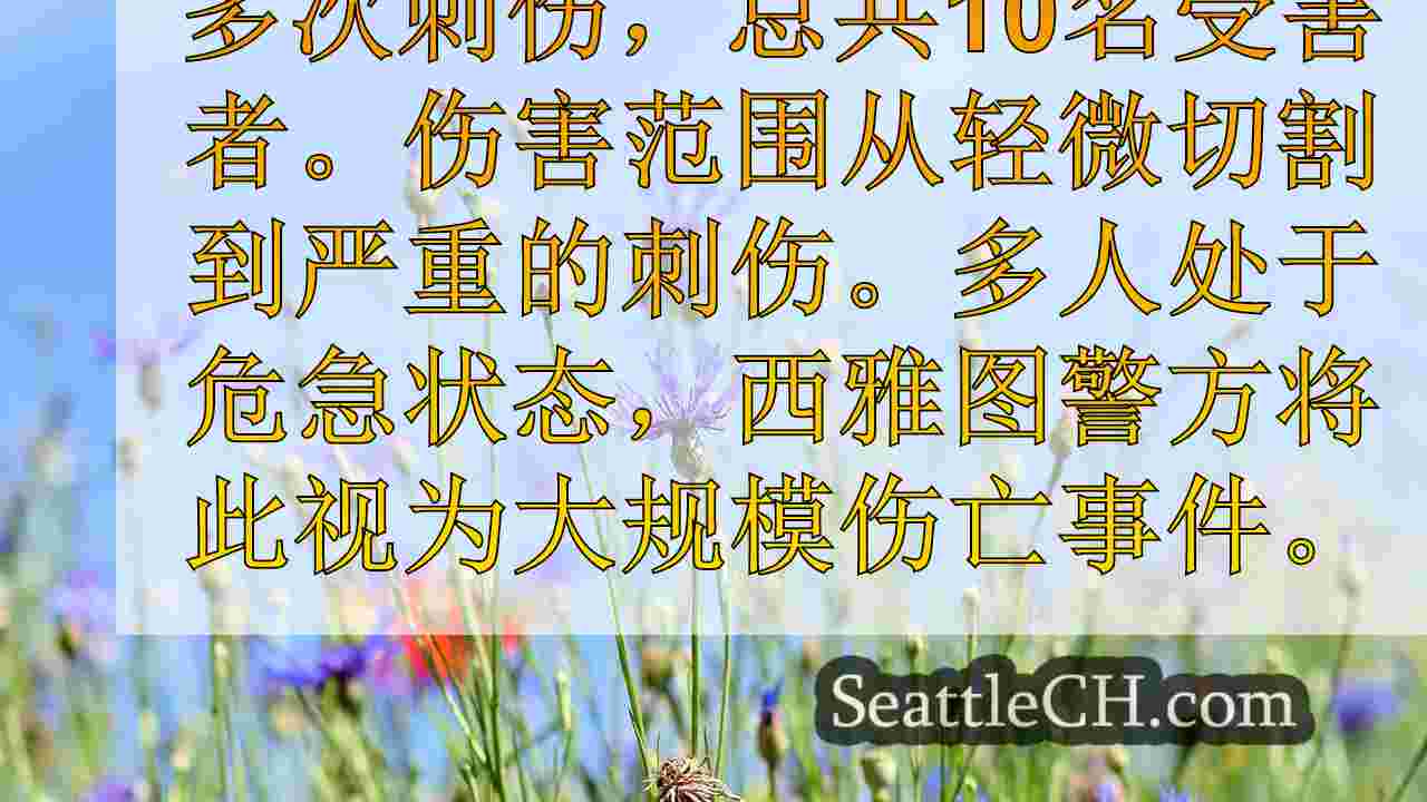 西雅图新闻 SeattleCH