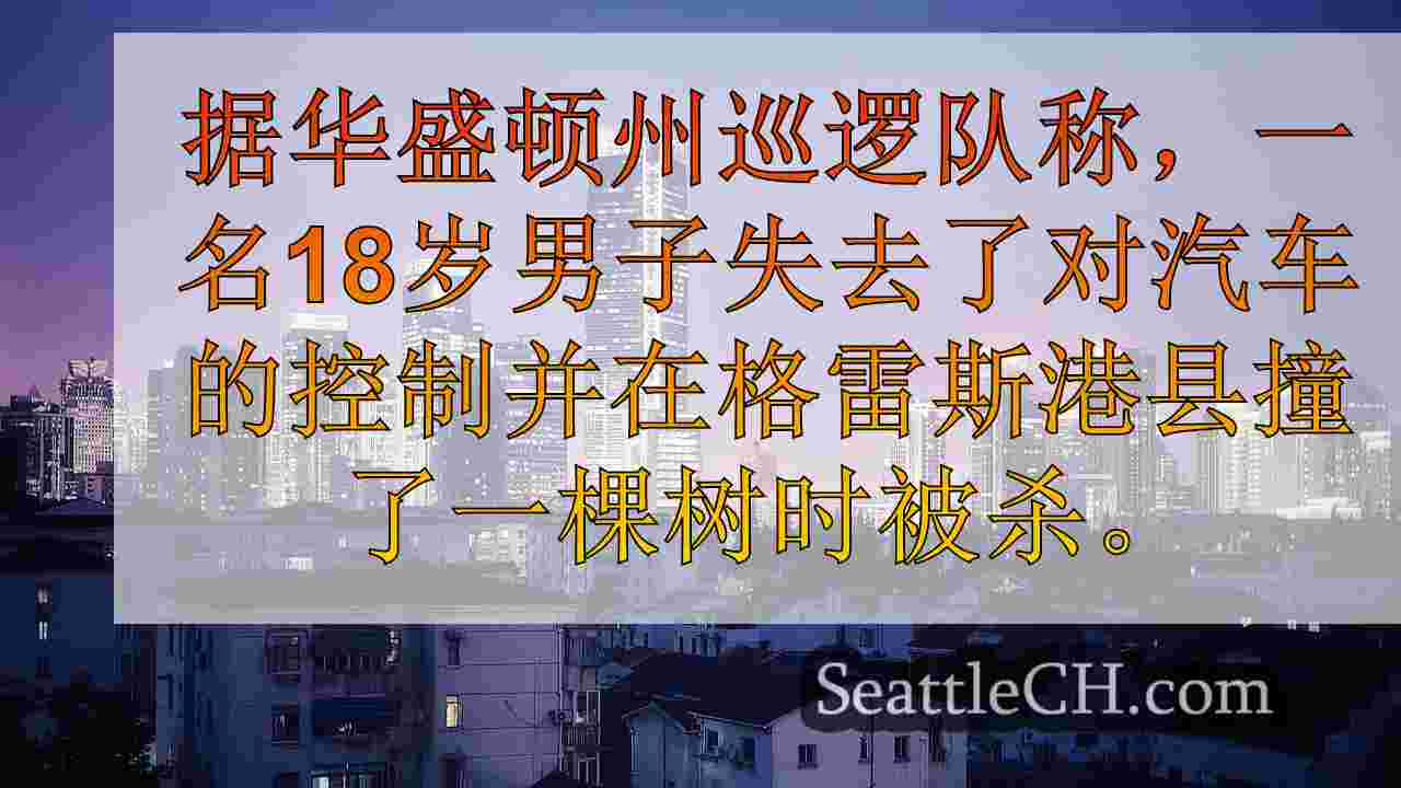 西雅图新闻 SeattleCH