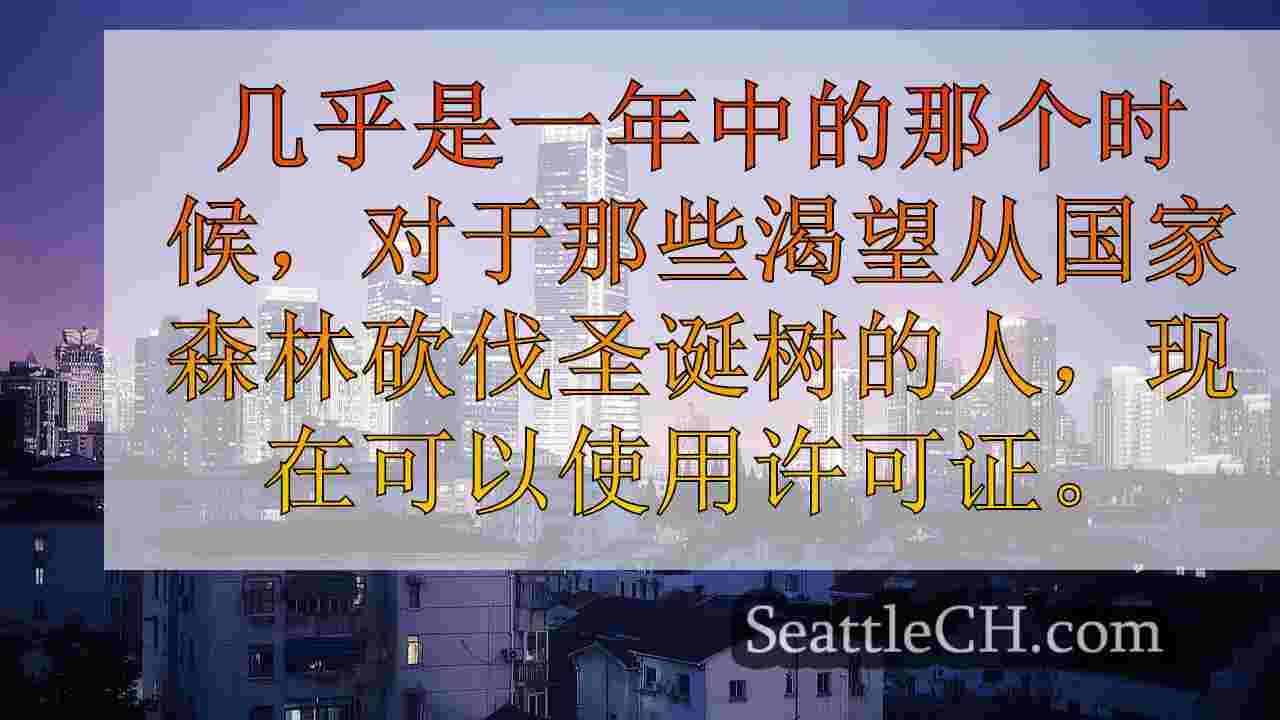 西雅图新闻 SeattleCH