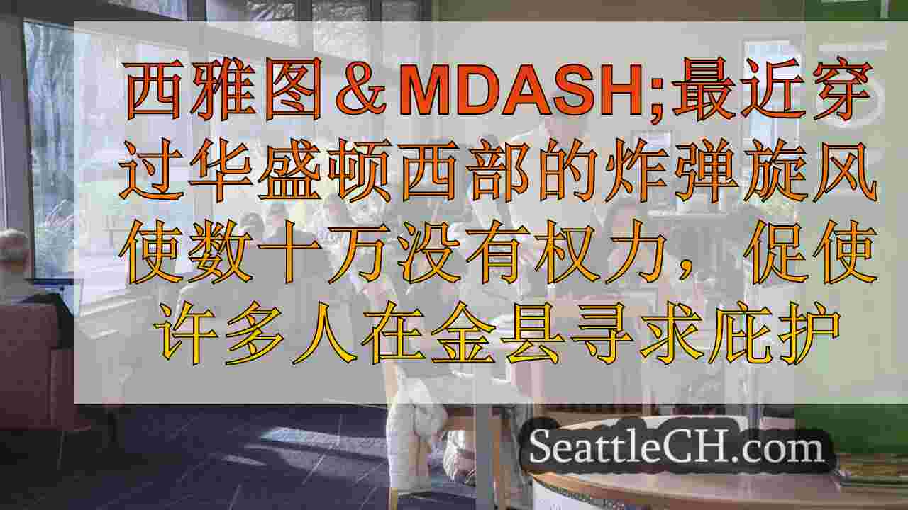 家庭在与风暴有关的停电期间在金县图书馆获得支持