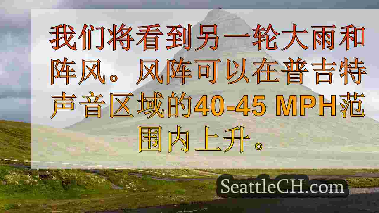 西雅图新闻 SeattleCH