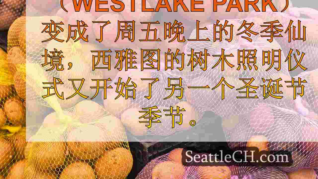 西雅图新闻 SeattleCH