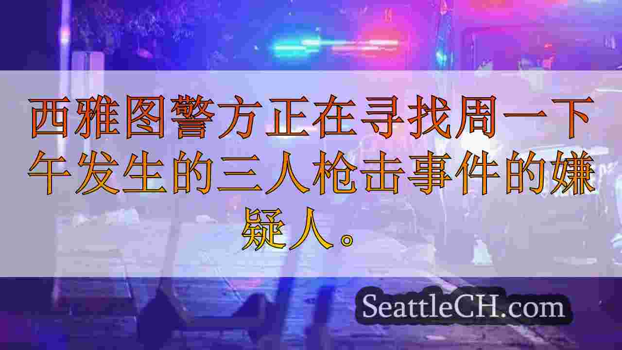 西雅图新闻 SeattleCH