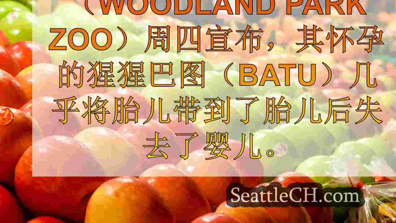 西雅图新闻 SeattleCH