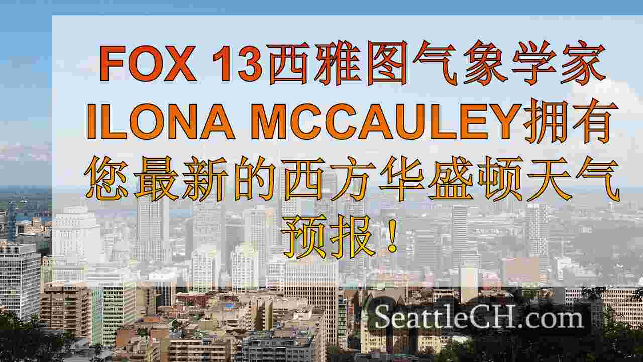 西雅图新闻 SeattleCH