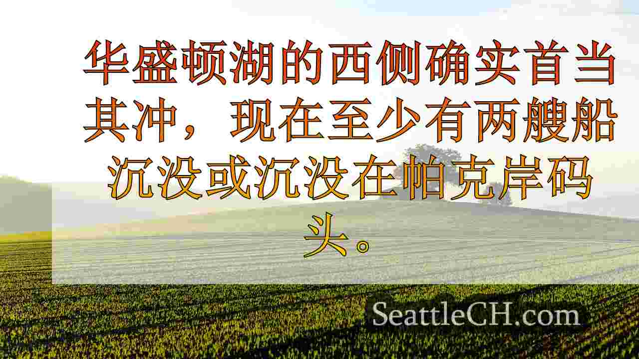 西雅图新闻 SeattleCH