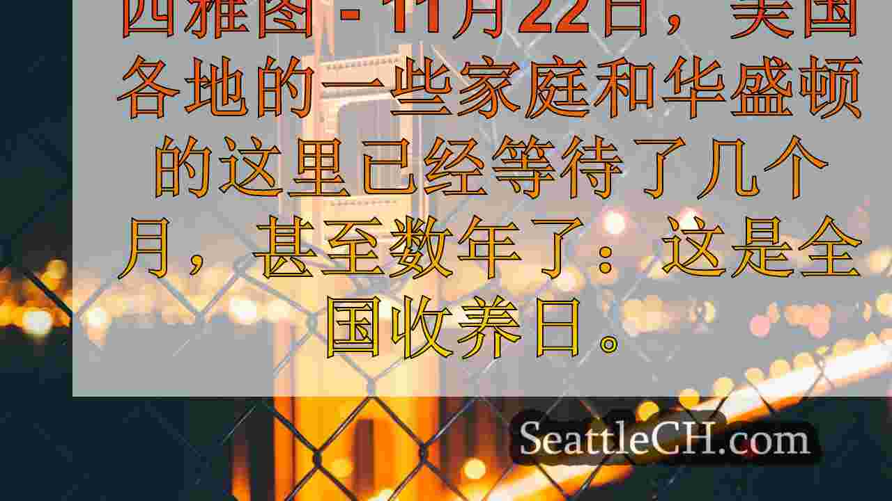 “我们很幸运，”西澳大利亚州在全国收养日收养亲人