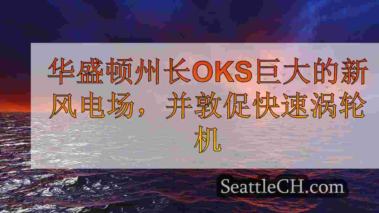 西雅图新闻 SeattleCH