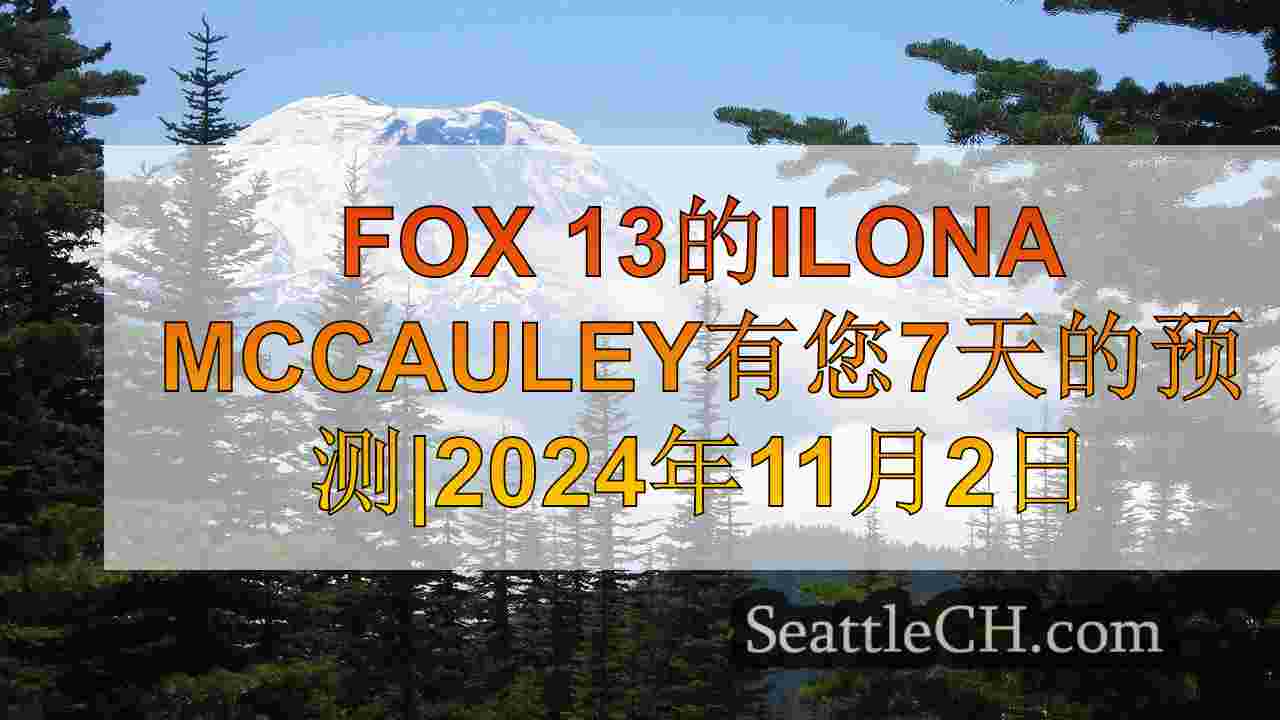 西雅图新闻 SeattleCH
