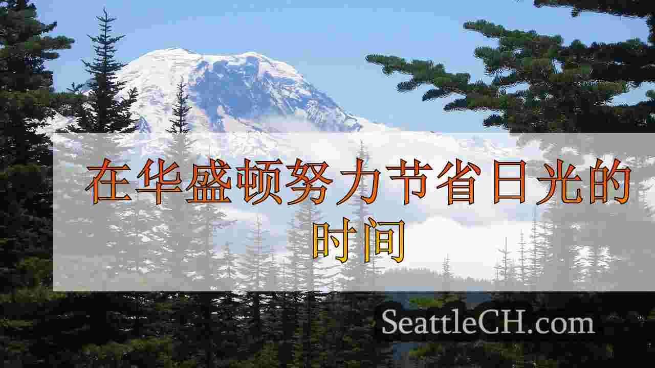 西雅图新闻 SeattleCH